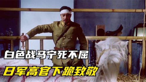 1996年上映的国产战争片，日军高官向战马下跪，它却宁死不屈--下