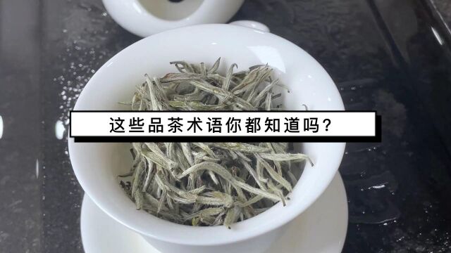 你喝茶的时候是不是只会说好喝?这些品茶术语快学起来吧~