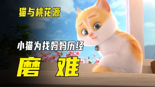 小猫为了寻找妈妈，历经重重磨难！