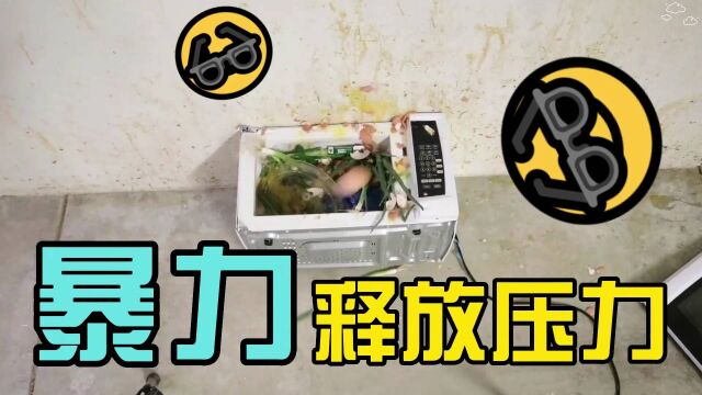 01暴力的解压方式之《委屈的微波炉》