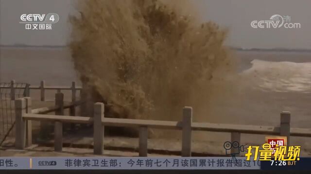 浙江海宁:老盐仓再现冲天巨浪