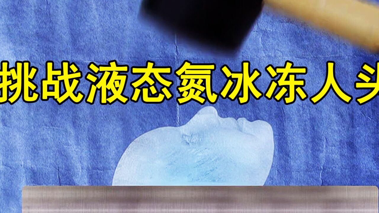 《流言终结者》：挑战液态氮冰冻人头_高清