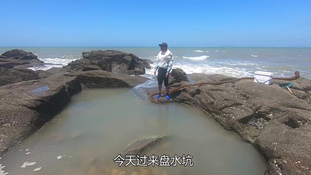 8级大风赶海抽水坑,抓到满身金黄的鱼,激动得连喊发财了