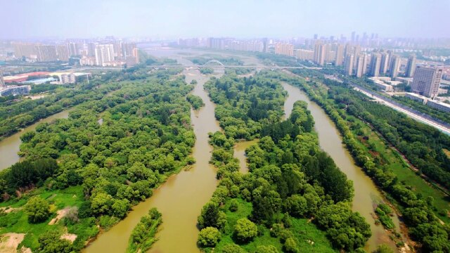 瀛洲桥湿地公园图片