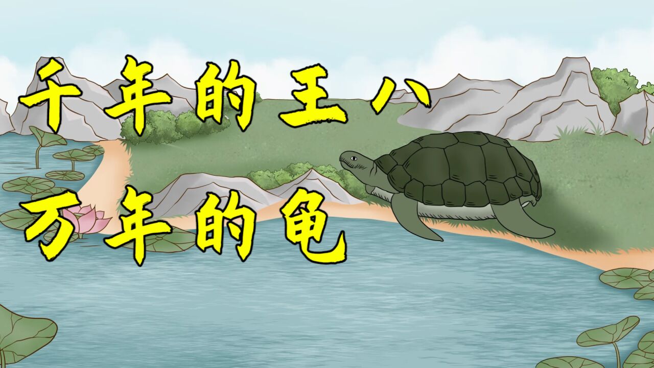 “千年的王八万年的龟”,下一句十人九不知,道尽人性黑暗_高清1080P在线观看平台_腾讯视频