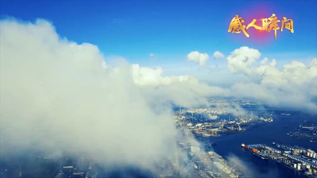 每日接听来电520个,这条服务热线“太热”