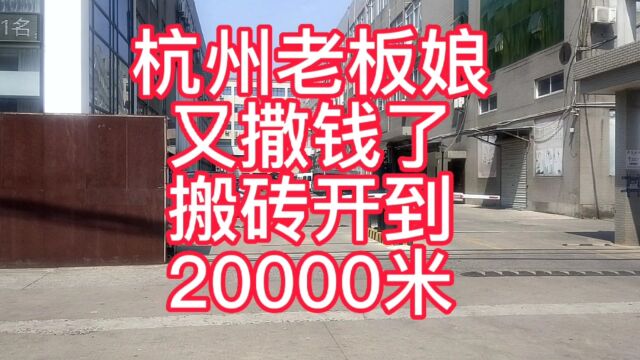 杭州老板爆单了,老板娘开到20000万米,没视频真不敢信