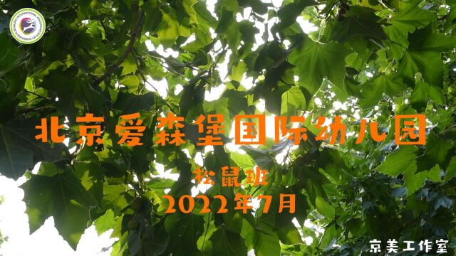 北京爱森堡国际幼儿园2022年7月松鼠班毕业季