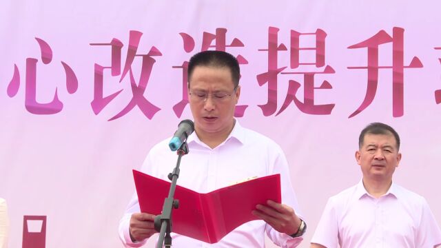 大城县体育中心改造提升竣工启用