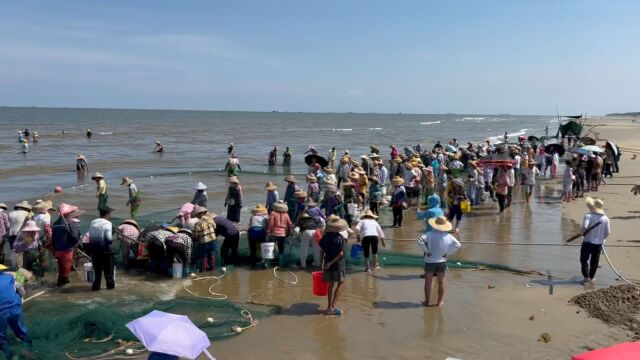 湛江原生态海岛,既可以旅游休闲度假,又可以赶海拉大网捕鱼