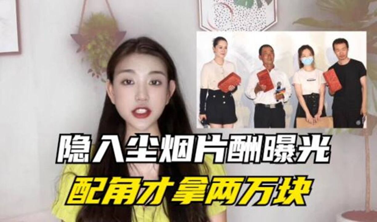 隐入尘烟演员片酬曝光！武仁林和海清都没收钱，配角2万左右_腾讯视频
