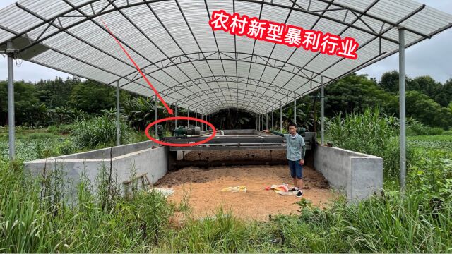 农村出现了一种新型暴利行业,大叔用0.5亩地加工一种材料,年收入28万