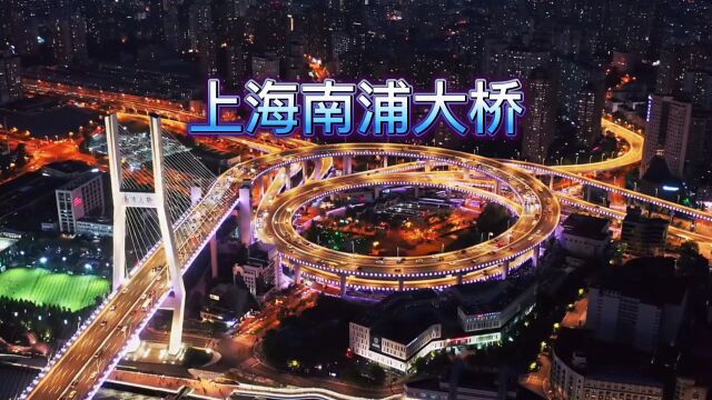 上海南浦大桥夜景,用8.2亿自主建造,宛如昂首盘旋的巨龙