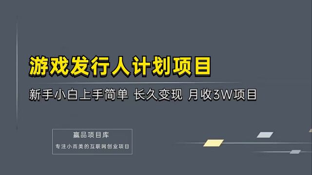 游戏发行人项目 新手小白上手简单 长久变现 月收3W