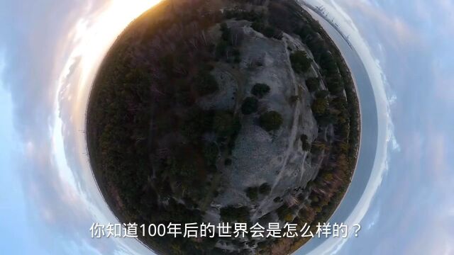 写在2022年世界人工智能大会之际