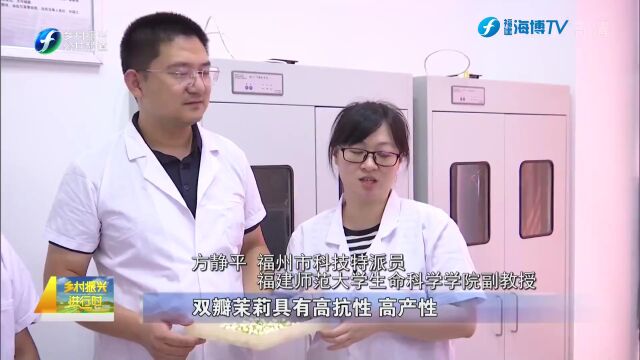 福州:茶企“联姻”科特派 产量提升花香更浓