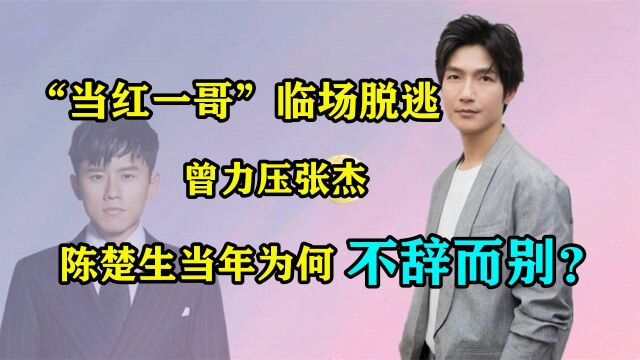 13年前害湖南卫视脸丢尽,被索赔650万,陈楚生当年为何不辞而别