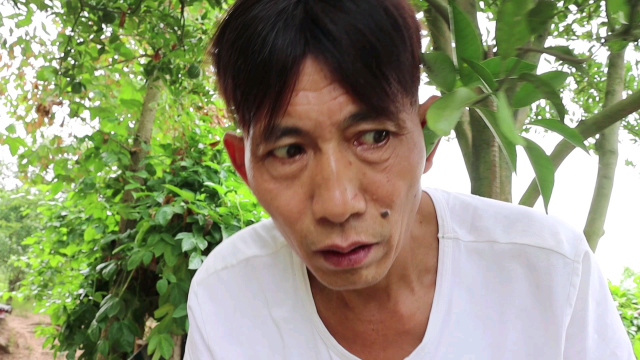 歪厨子简简单单做个叫花鸡,太香了一只还不够吃