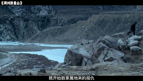 《河对岸是山》部无人问津的国产良心电影，讲述黄河捞尸人的真实生活#河对岸是山#黄河