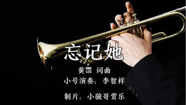 邓丽君金曲,小号演奏家李智祥演奏,如泣如诉的《忘记她》
