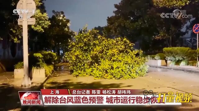 上海解除台风蓝色预警信号,城市运行稳步恢复