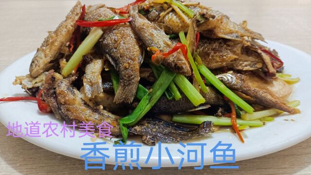 农村河里的小河鱼味道就是不同,肉质鲜美,纯天然好吃又下酒