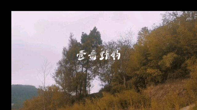 生态保护小鱼一律放流