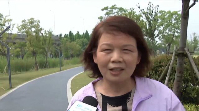 (电视通稿ⷥ›𝥆…ⷧ”Ÿ态)苏沪跨流域治理实现水清岸美产业兴