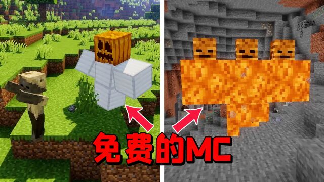 我的世界:当你下载了盗版MC,这游戏好像哪里不对?