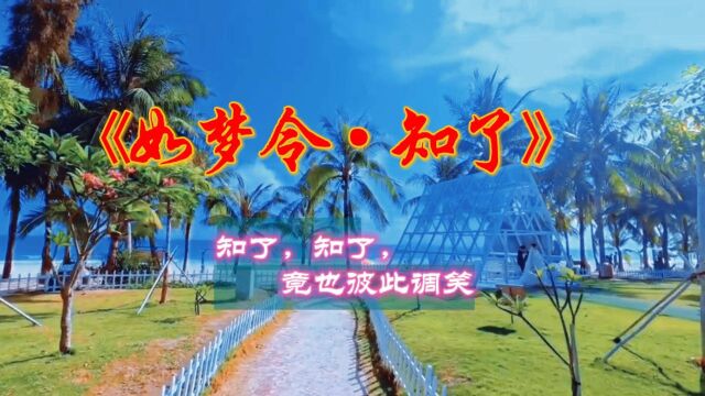 那树林里的知了叫的可带劲了,我很好奇它们知了什么 如梦令ⷮŠ知了