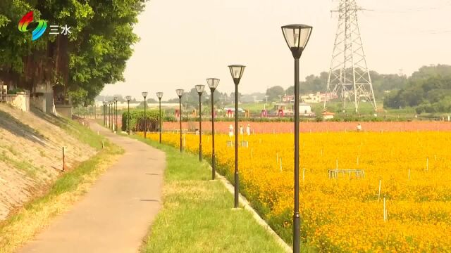 国庆假期到白坭解锁“打卡+美食”游玩套餐