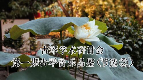 [图]古琴学术研讨会 第一期 古琴音乐品鉴（节选3）