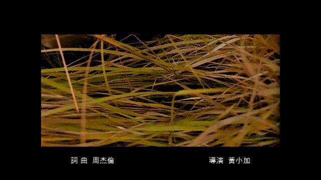 周杰伦  星晴MV 1080p修复版