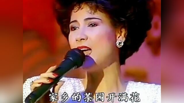 甄妮演唱《鲁冰花》1991年春节联欢晚会上演出作品,怀旧经典音乐.