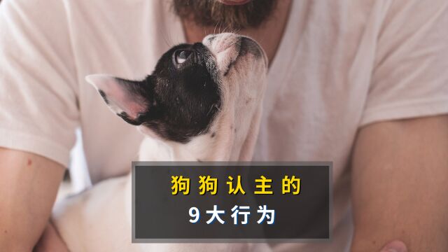 狗狗认主的9大表现