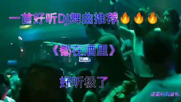 超好听Dj歌曲欣赏《都在酒里》