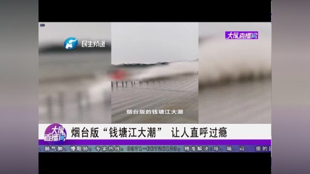 烟台版“钱塘江大潮”,让人直呼过瘾