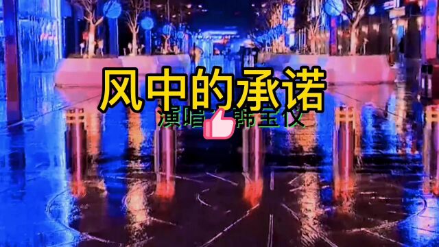 抖音,最近很火的歌,韩宝仪:《风中的承诺》