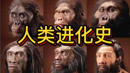 人类进化史