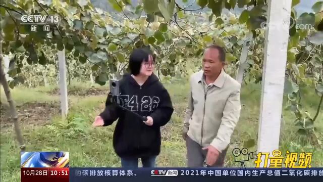 邮政快递行业数据发布:中西部地区多省份快递业务量增速超20%