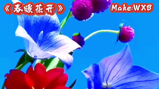 经典老歌《春暖花开》