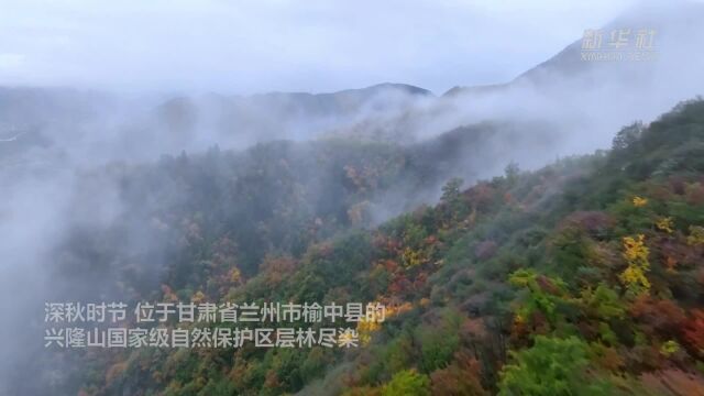 甘肃榆中:秋染兴隆山