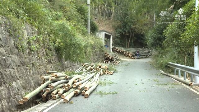 绍兴柯桥平水镇建立强村公司:实现山区农民共同富裕