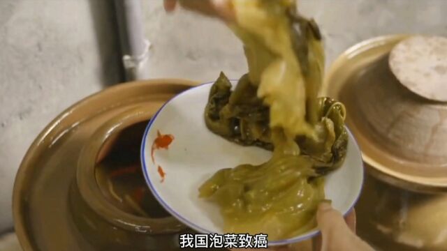 中国泡菜致癌可韩国泡菜却是健康美食?