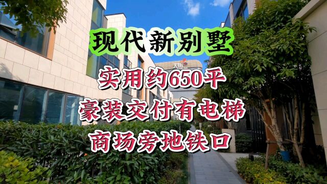 商场旁、地铁口实用约650平新别墅,豪华装修、有电梯!