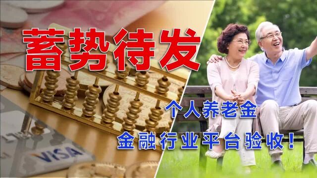 蓄势待发,个人养老金金融行业平台验收!