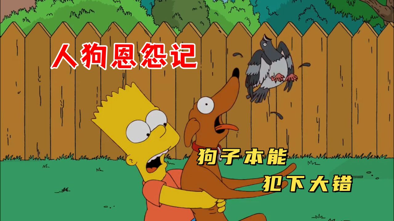 辛普森深度吐槽,呆傻狗子吃掉巴特宠物,气得巴特要和它断绝关系_高清1080P在线观看平台_腾讯视频