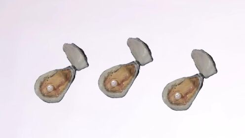 牡蛎如何产珍珠？