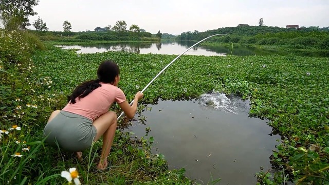 去野河钓鱼传统方法钓鱼视频用钩钓鱼用钩子钓到大胡子鱼,鲶鱼,和表妹
