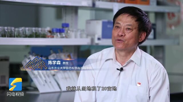 科教强鲁 人才兴鲁|第二届齐鲁杰出人才提名奖获得者陈学森:农业科研要接地气 切实让农民腰包鼓起来